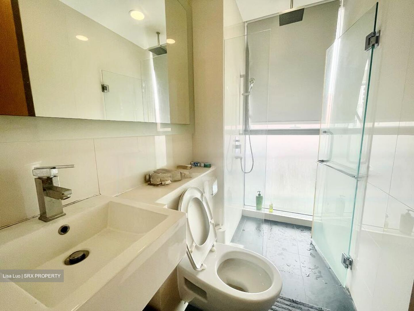 Lumiere (D2), Apartment #468057391